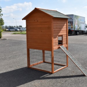 The opening to the sleeping compartment of rabbit hutch Prestige Large is 24x26cm