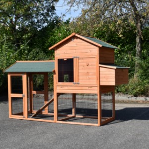 The rabbit hutch Prestige Large is extended with a run Space Large