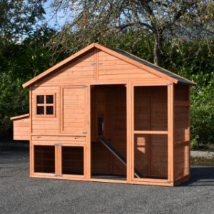 Large chickencoop Holiday Large is a beautiful hutch for in your garden!