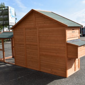 The chickencoop Holiday Large has a fully wooden backside