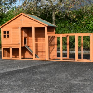 The rabbit hutch Holiday Large offers a lot of space for your rabbits