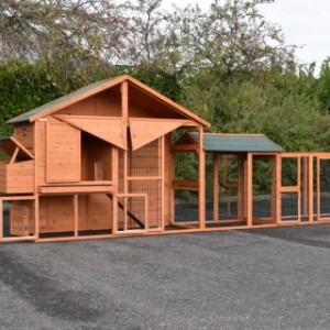 The chickencoop Holiday Large is extended with a run Space Large and a run Functional