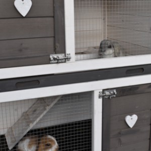 The guinea pig hutch Annemieke is divided in 2 floors