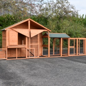 The hutch Holiday Large is a nice outdoor space for your rabbits
