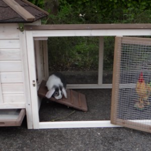 The run of the rabbit hutch Ambiance Small has a large dooropening