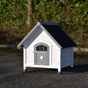 The dog house Private 1 is suitable for little dogs