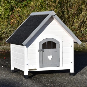 Dog house Private 1