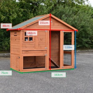 Diversal dimensions of the chickencoop Holiday Medium