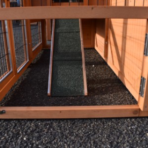 Have a look in the run of rabbit hutch Holiday Small