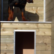 The Easy insulated night shelter is a valuable addition to your kennel