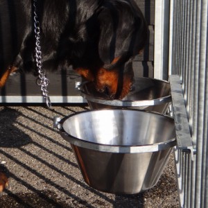 The double bowls are suitable for water and food