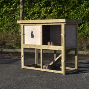 The rabbit hutch Axi Maxi is made of impregnated spruce wood
