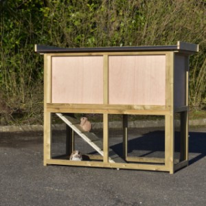 Have a look on the backside of rabbit hutch Axi Maxi