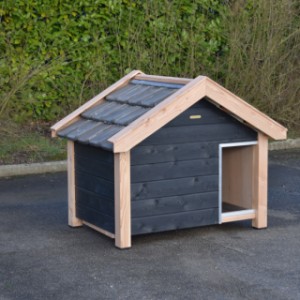 The beautiful dog house Reno is an addition for your garden