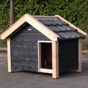 Dog house Reno black/Douglas insulated 160x106x123cm