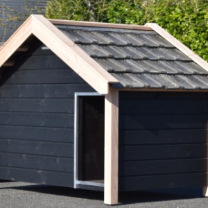 The dog house Turbo is provided with second-hand roof tiles