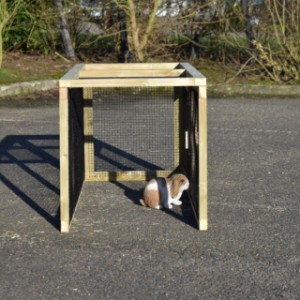 The additional run Axi Maxi offers extra space for your rabbits
