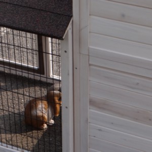 Rabbit hutch Excellent Medium | with run