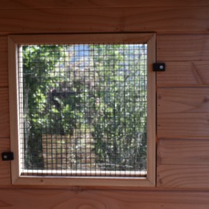 Aviary Flex 2.1 is provided with a window with plexiglas and mesh