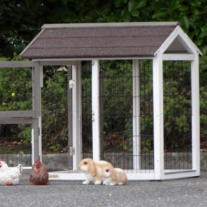 Rabbit hutch Excellent Medium | run with large doors