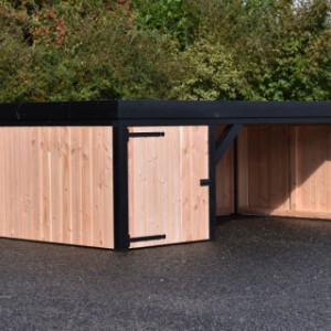 Doghouse Frenkie offers a cozy shelter