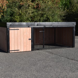 Dog kennel Frenkie is made of Douglaswood