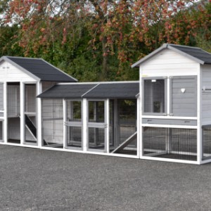 The large combination of hutches for your chickens is an acquisition for your yard