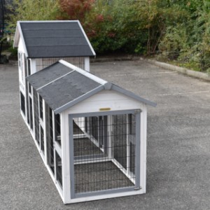 The hutch Holiday Medium offers a lot of space for your chickens