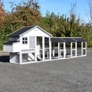 Chickencoop Holiday Medium with laying nest and 3 runs 498x88x151cm