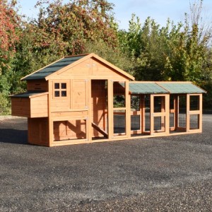 The chickencoop Holiday Medium is made of pine wood