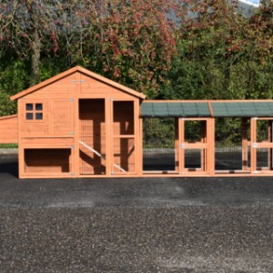 The hutch Holiday Medium is extended with 2 runs and a nesting box