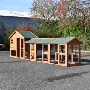 The roofs of the chickencoop Holiday Medium are provided with green roofing felt