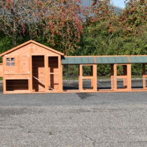 The rabbit hutch Holiday Medium is extended with 3 runs and a nesting box