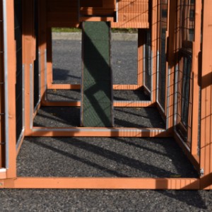Have a look in the run of rabbit hutch Prestige Medium