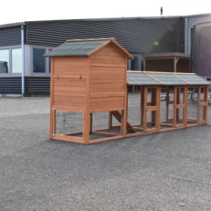 Have a look on the backside of chickencoop Prestige Medium