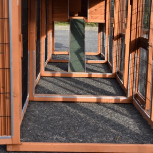 Have a look in the run of chickencoop Prestige Medium