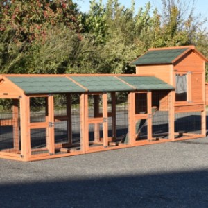 The rabbit hutch Prestige Medium is an acquisition for your yard