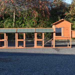 The combination chickencoop Prestige Medium is extended with 3 runs and laying nest