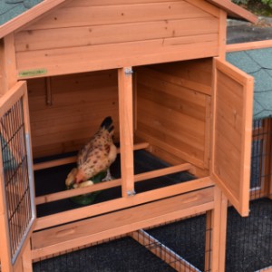 The chickencoop Prestige Medium is provided with 2 removable perches