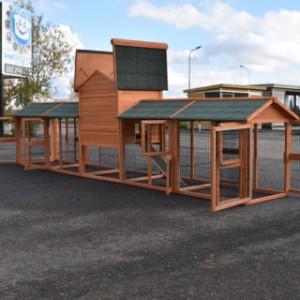 Have a look on the backside of chickencoop Prestige Medium