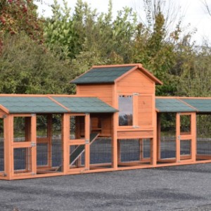 Rabbit hutch Prestige Medium with 4 runs · 493x91x150cm