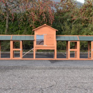 The large combination of chickencoop Prestige Medium offers a lot of place