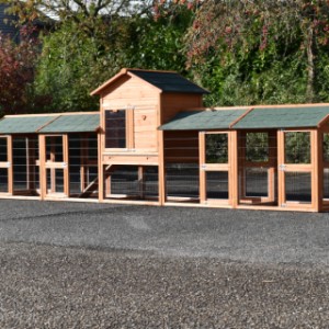 The Prestige Medium rabbit hutch can be expanded endlessly