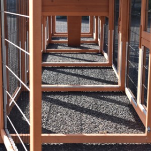 Have a look in the run of the rabbit hutch Prestige Medium