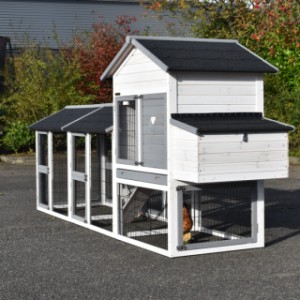 Chickencoop Prestige Medium is an acquisition for your yard