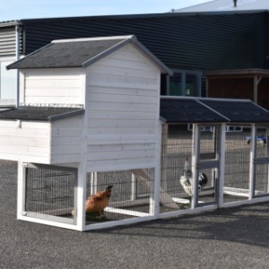 The hutch Prestige Medium is suitable for chickens and rabbits