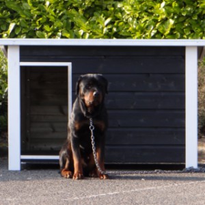 Doghouse Wolf 159 cm for large dog breeds
