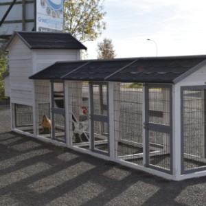Have a look on the backside of rabbit hutch Prestige Medium