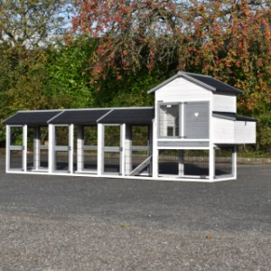 The large chickencoop Prestige Medium is an acquistition for your yard