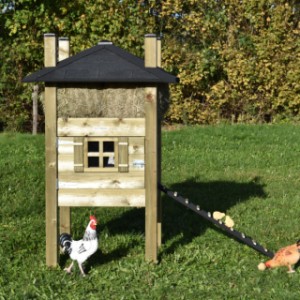 The chickencoop haystack Rosa is suitable for 3 till 5 chickens